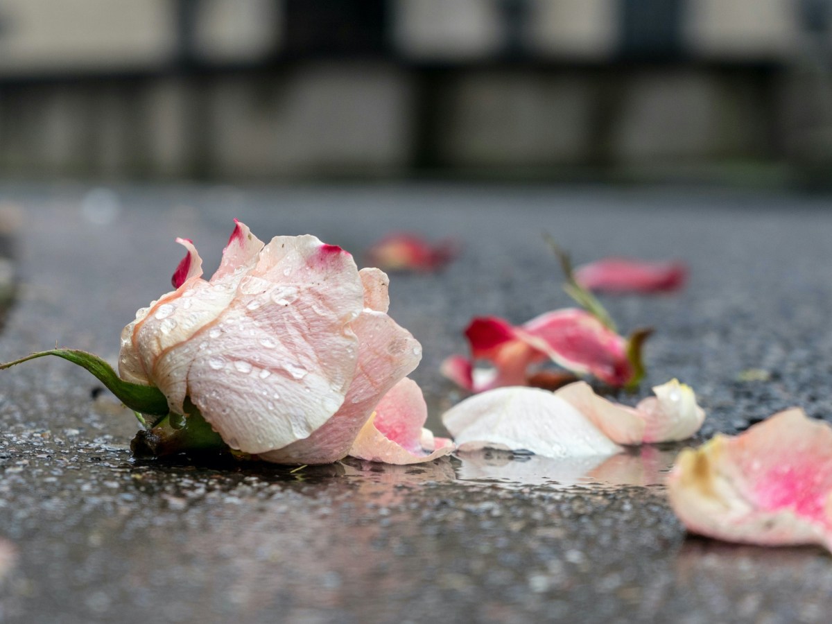 When I Want to Give&nbsp;Up