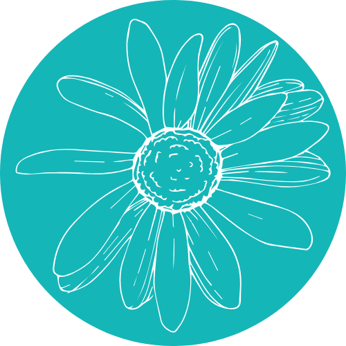 A drawing of a daisy on a teal background